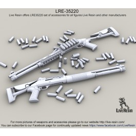 12 caliber shells and spent shells