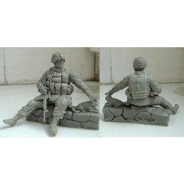 The modern American soldier with cat