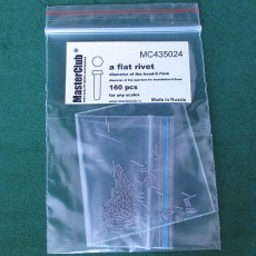  a flat rivet, diameter of the head-0.7mm; diameter of the aperture for installation-0.5mm; 160 pcs.