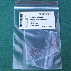  a  flat rivet, diameter of the head-0.9mm; diameter of the aperture for installation-0.6mm; 120 pcs.