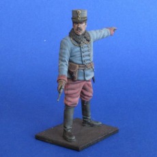 The Austro-Hungarian officer  WWI 